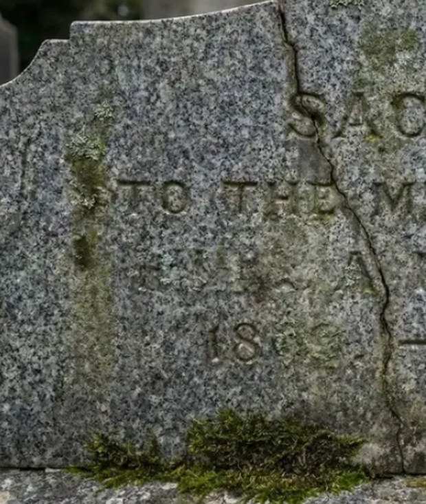 The 1837 DOWSON headstone before cleaning, grimy with moss and lichen