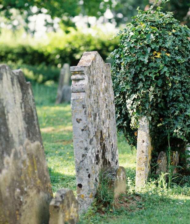 Headstones lost under ivy and overgrowth