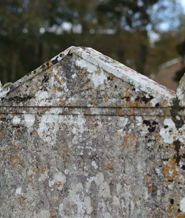 A weathered headstone crusted with lichen